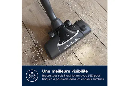 Aspirateur sans sac Electrolux PC91-ANIMA