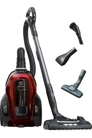 Aspirateur sans sac Electrolux PC91-ANIMA