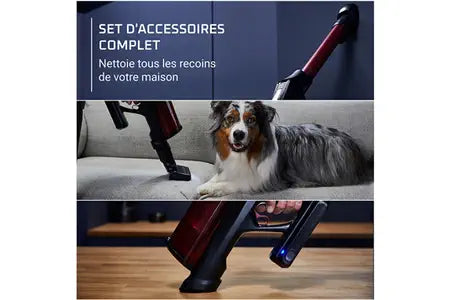 Aspirateur balai Rowenta X-FORCE FLEX 13.60 MODELE ANIMAL PUISSANT 150 AW ET LÉGER RH9A73WO
