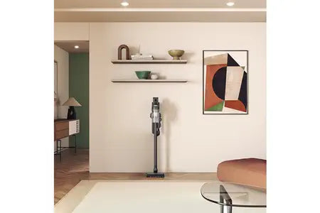 Aspirateur balai Samsung VS20C85G2TN Jet 85 Pet