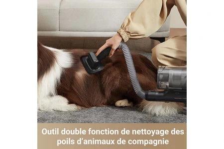 Aspirateur balai Dreame Aspirateur balai Z30 Noir Autonomie90 min,310 AW