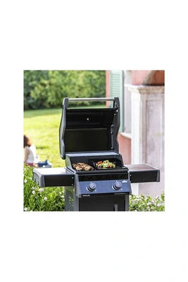 Barbecue Napoleon Barbecue à gaz Rogue 365 2 brûleurs noir